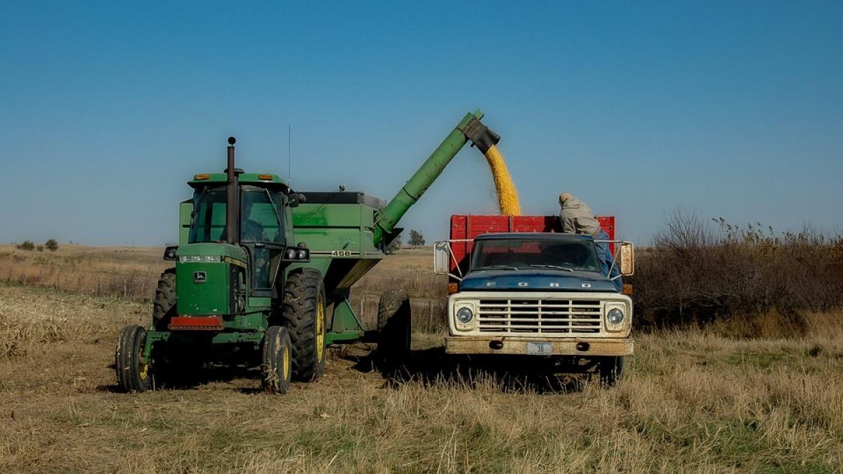 cereale-ucrainene-victor-negrescu_02703900