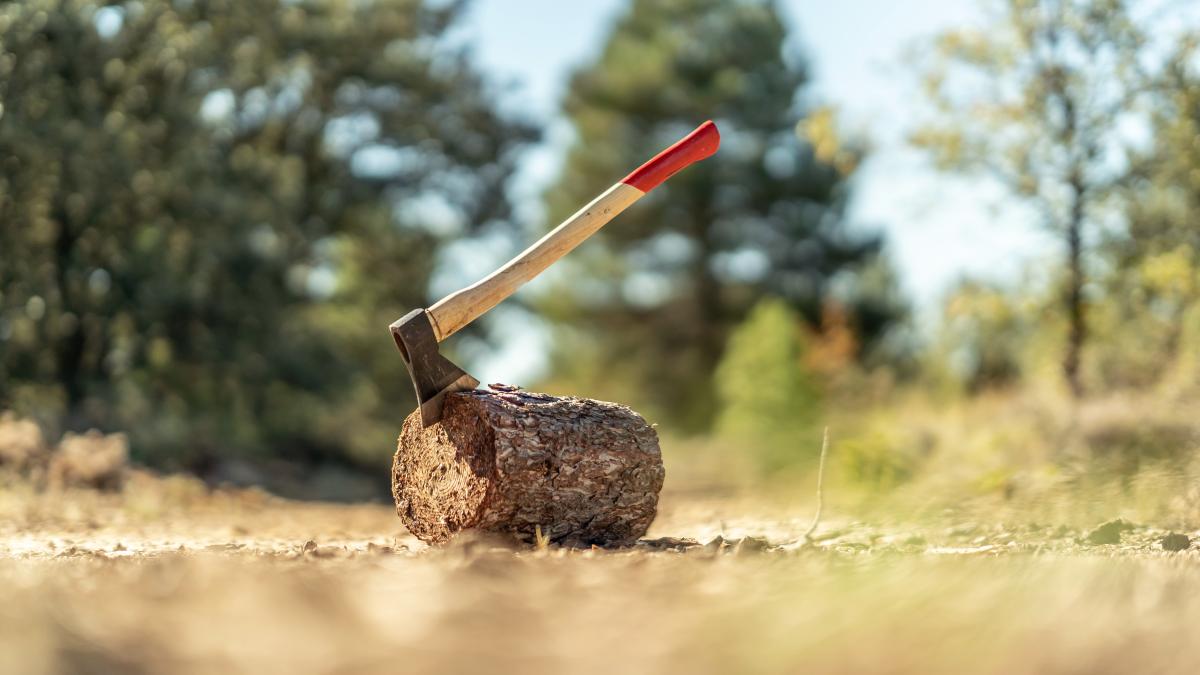 despadurire_56541500