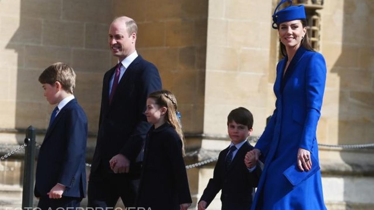 339918926_968011057689486_5384297532279084279_n_43284100