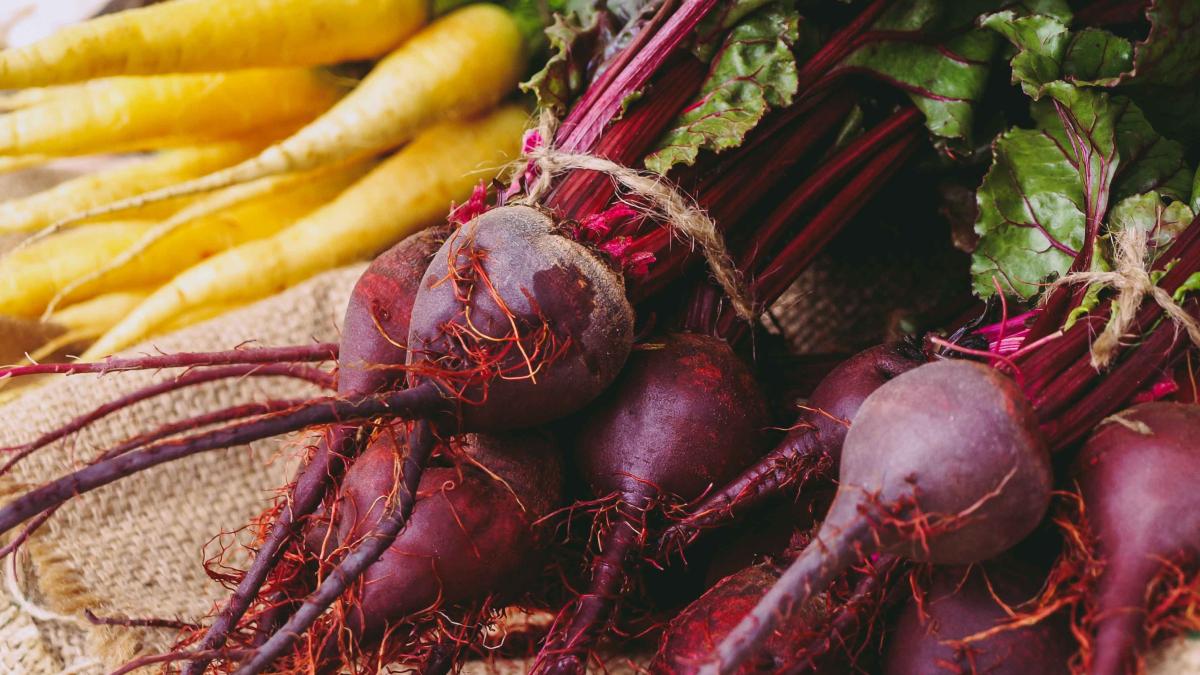 romania-productie-sfecla_29510300