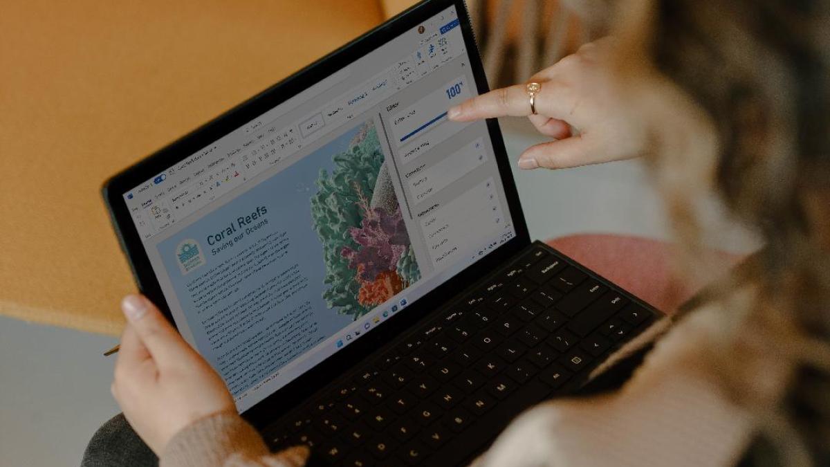 freelancer-romania-pasi_08529100