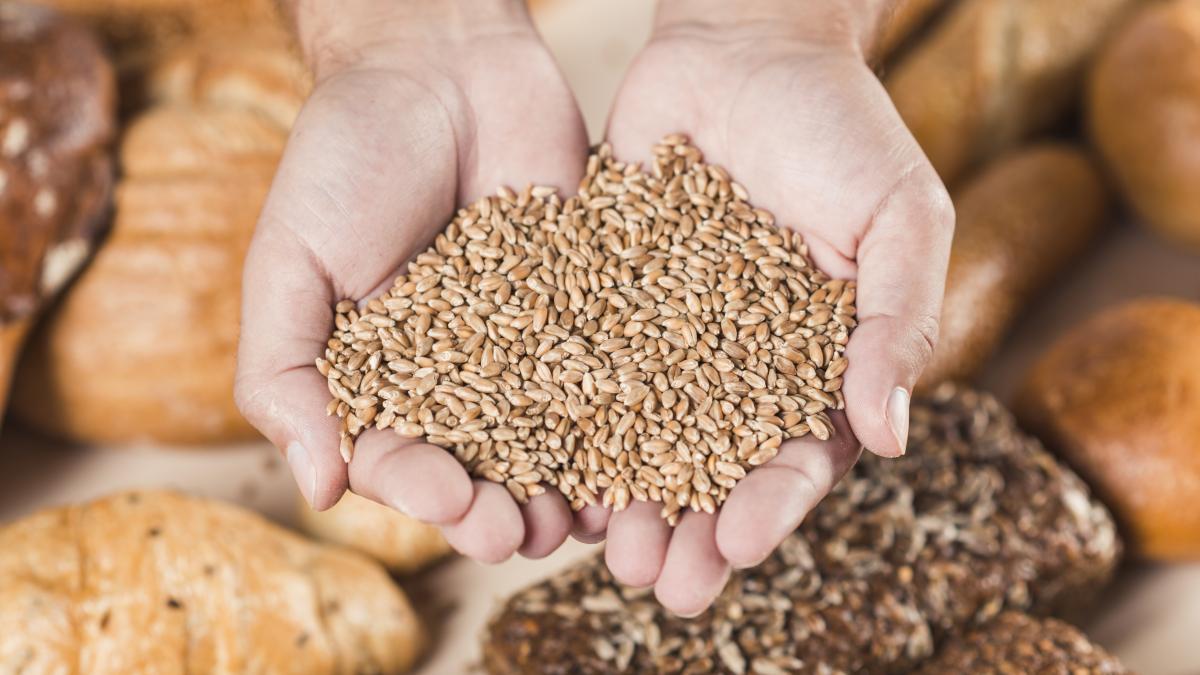 export-cereale_57108300