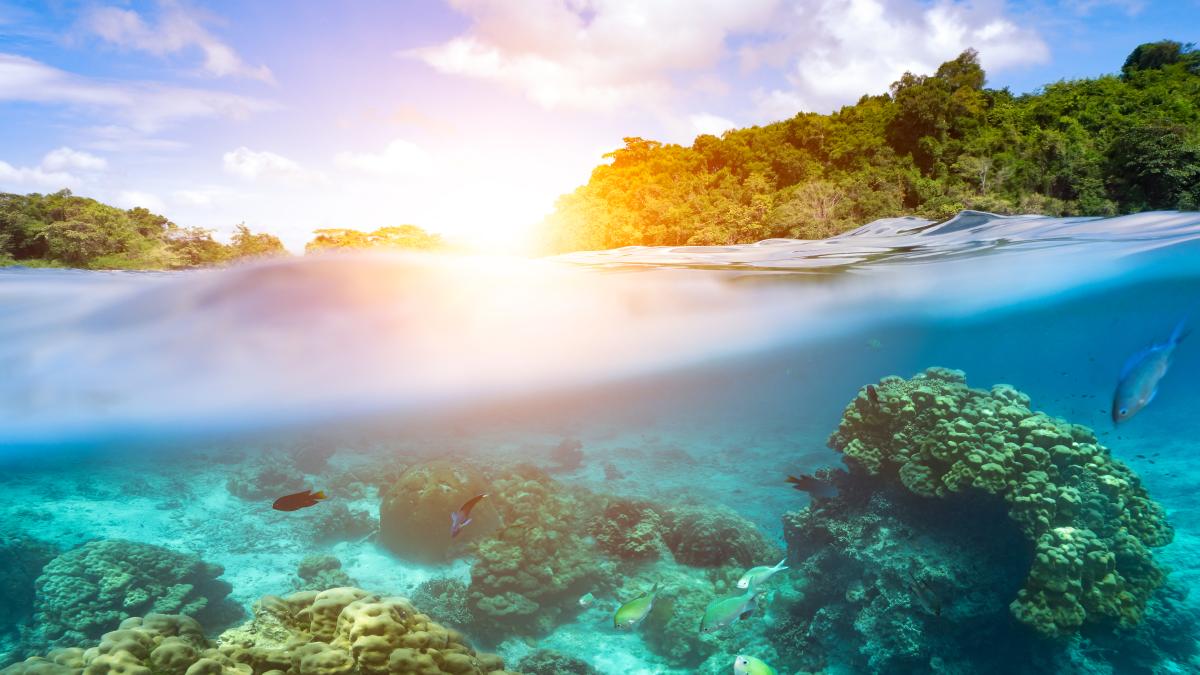 se-incalzesc-oceanele_64908700