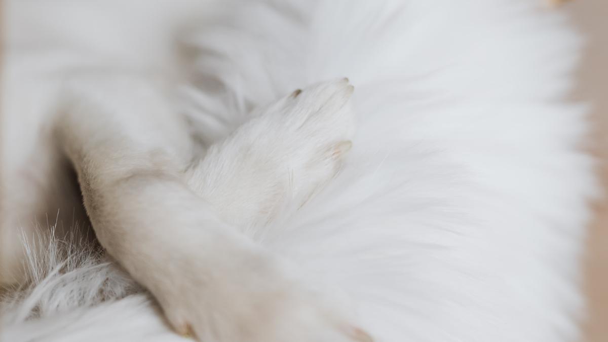 pexels-karolina-grabowska-4197492_28017800