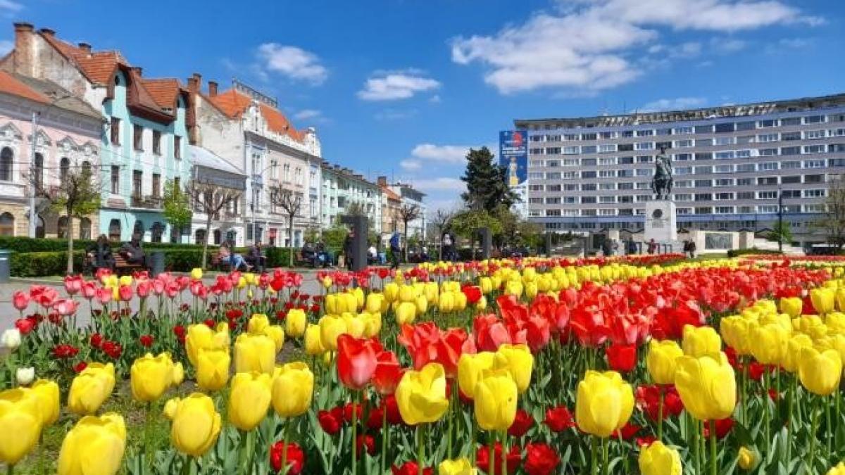 whatsapp-image-2023-04-28-at-17-00-30_38320000