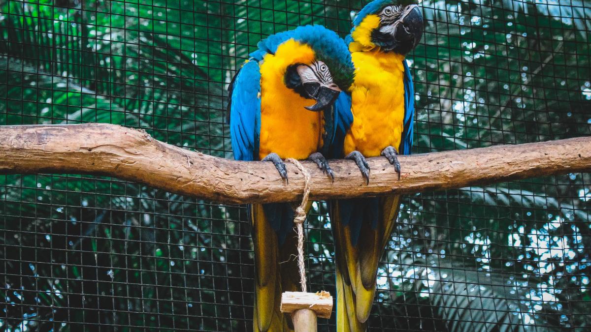 pexels-jonny-lew-1547836_30645900