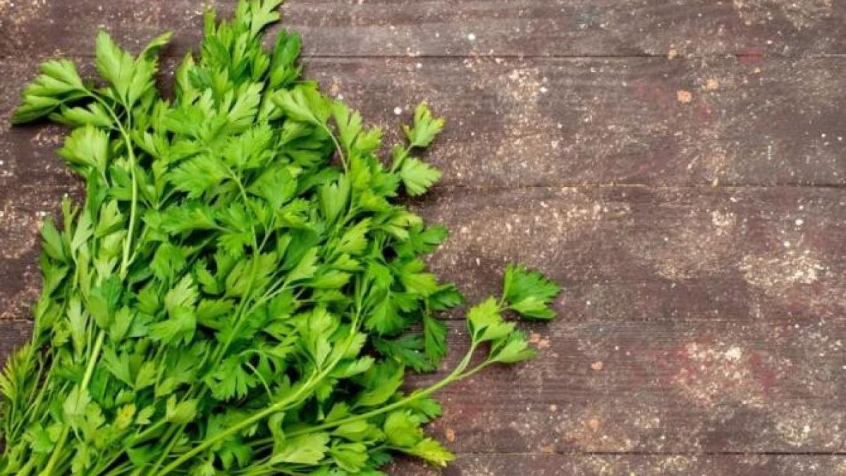 planta-care-poate-fi-toxica--cu-totii-o-folosim-pentru-a-da-aroma-bucatelor_37741100