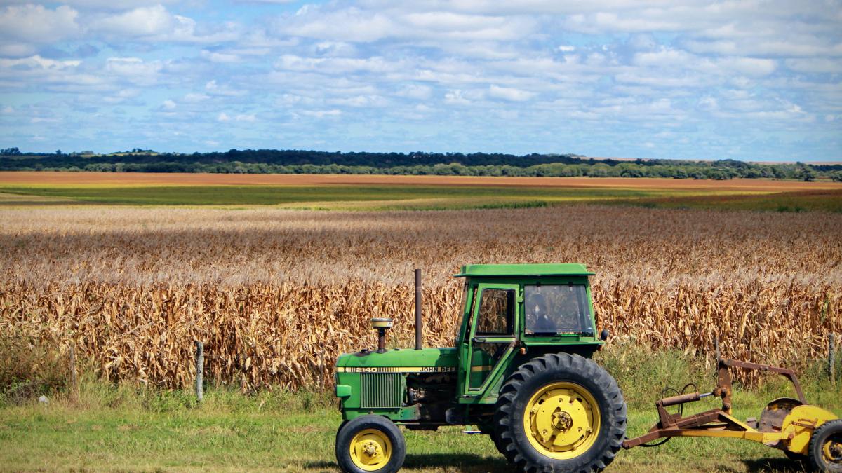 comisia-europeana--nou-sprijin-pentru-fermierii-romani--ionut-stroe-romania-e-ascultata-in-ue--daca-stim-sa-ne-urmarim-interesele_73135800