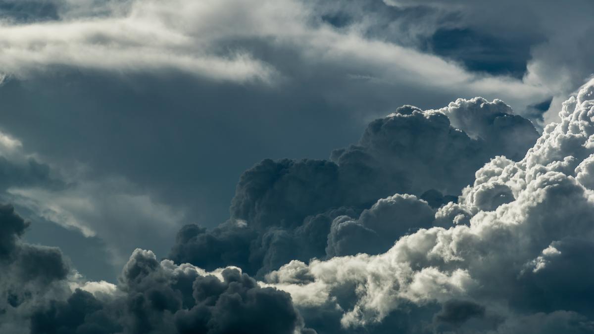 pexels-pixabay-209831_72326500