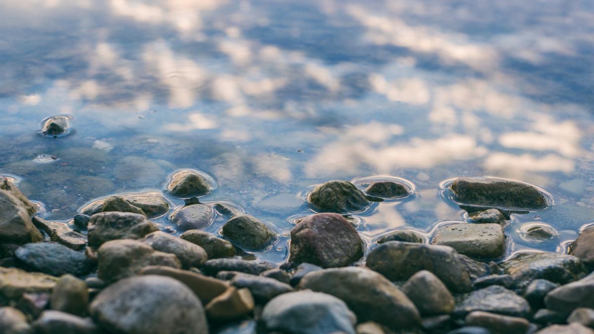 trup-barbat-mures_76840700