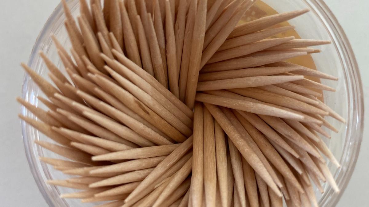 pexels-sandra-muralha-9640958_10322400