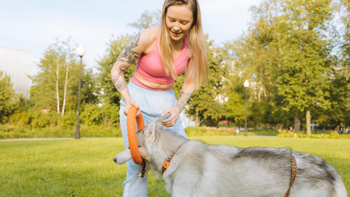 detinitori-de-caini-in-romania_43360100