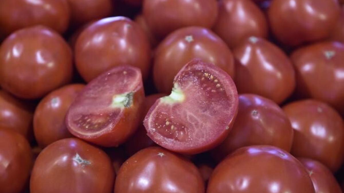 rosii-romanesti_31977300