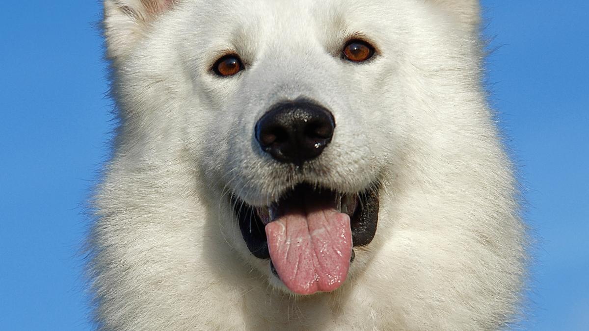 pexels-pixabay-46505_44963100