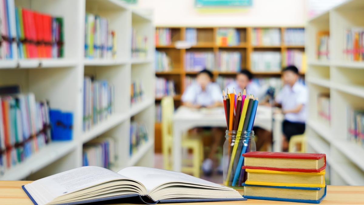 modificari-pe-legile-educatiei--natalia-intotero-proiectul-va-merge-mai-departe-la-senat_13605100