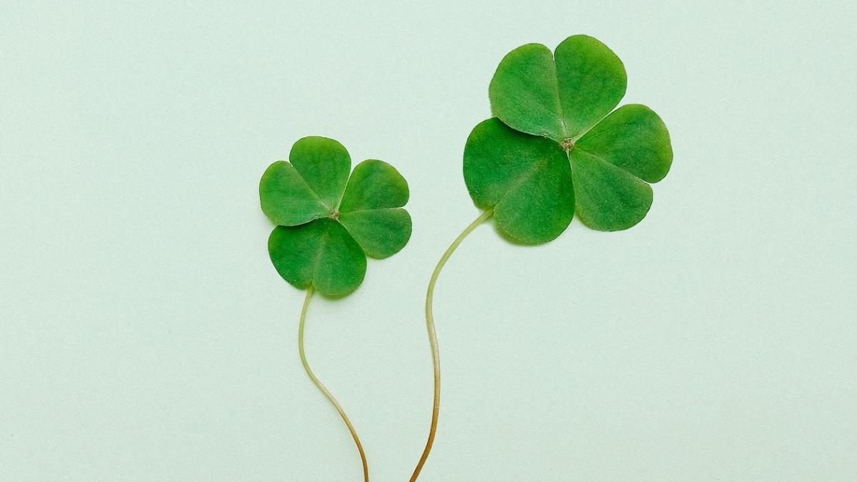 noroc-zodii_80483200