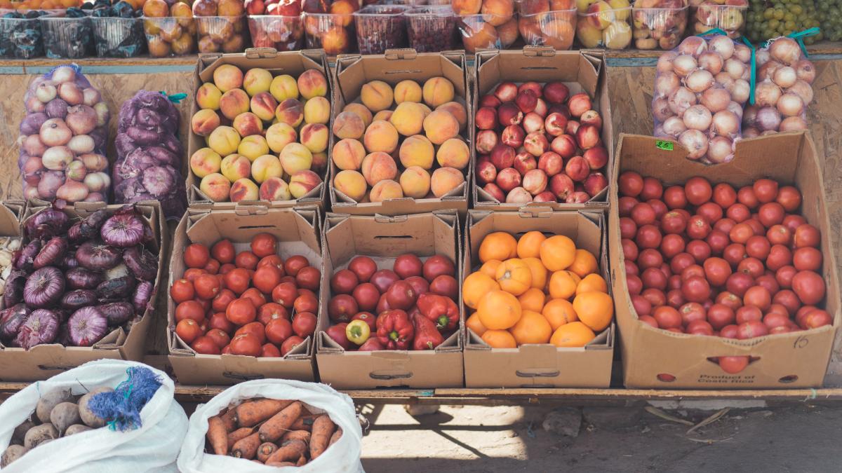 teste-rapide-pentru-legume-in-piete--vlad-mircea-pufu-pnl-sa-stim-ce-punem-pe-masa-dreptul-la-sanatate-este-fundamental_41830200