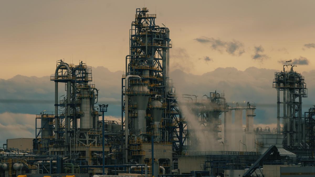 persoane-bazin-azot-petromidia_49188000