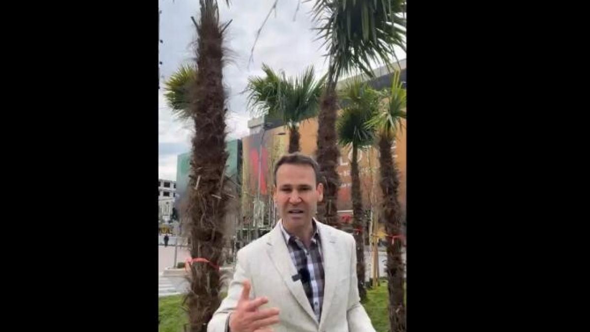 negoita-palmieri_63729400