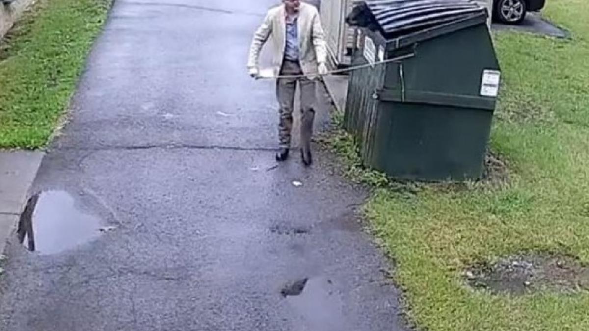 urs-in-tomberon_52066800