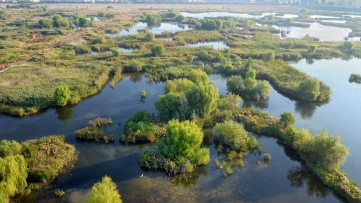 parcul-vacaresti-are-regulament--sunt-interzise-accesul-cu-vehicule-motorizate-si-aprinderea-focului_33031400