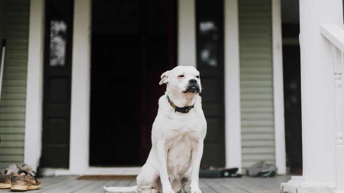 caine_sofer_beat_sua_pxl_03521200