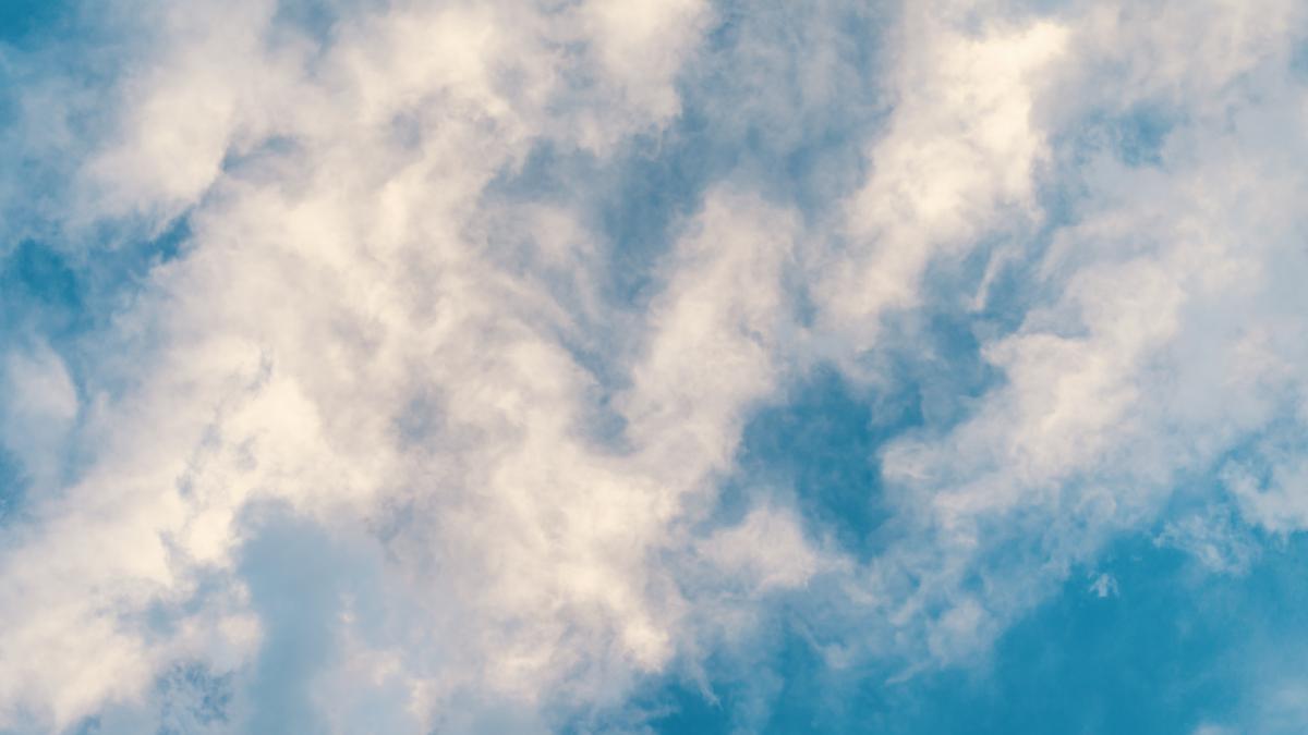 pexels-brett-sayles-4504739_41146600