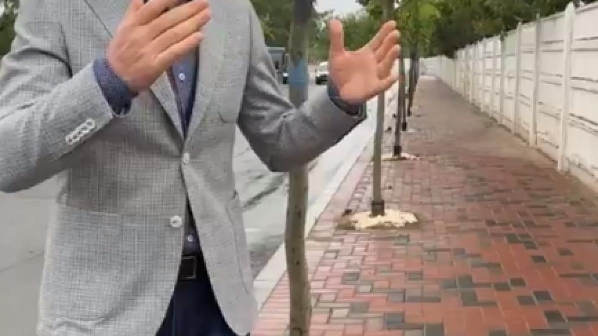 robert-negoita_87987700