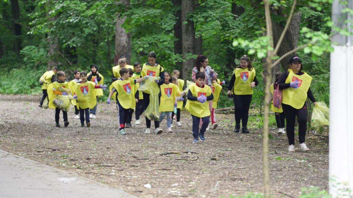 ecologizare_51519900