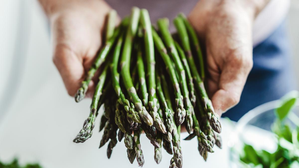 romanii--baietii-buni-la-cules-de-sparanghel--in-germania-lucram-sase-zile-pe-saptamana-pentru-salariul-minim--niciun-german-nu-face-asta_89033500