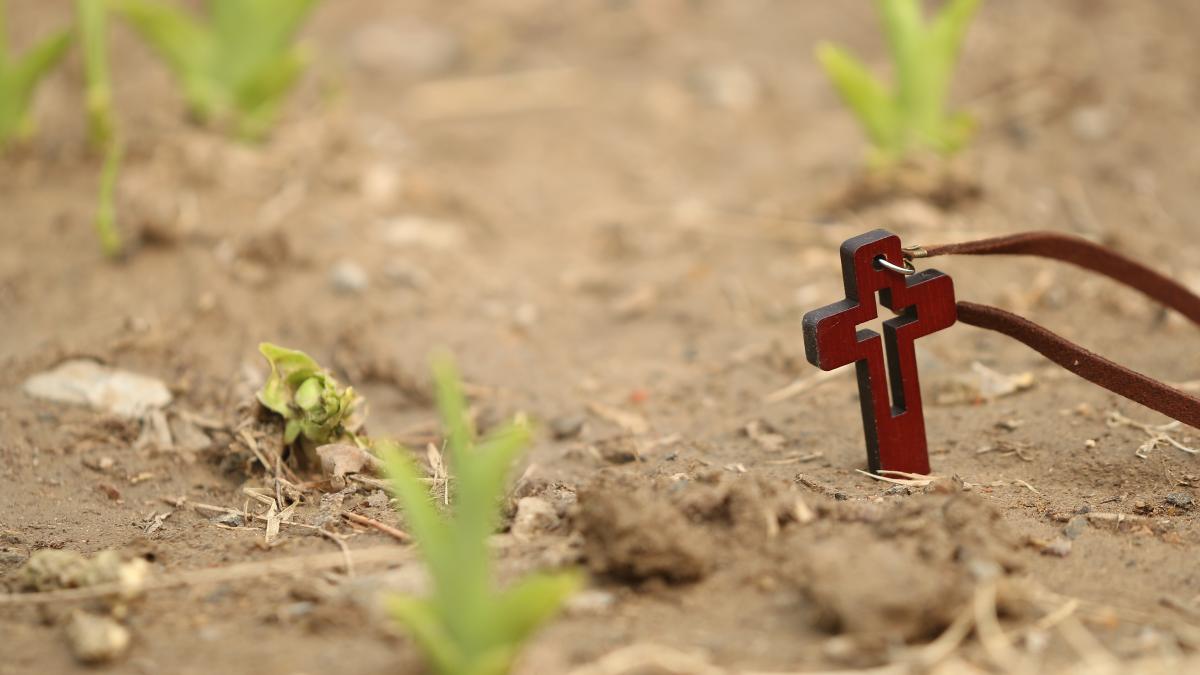 calendar-crestin-ortodox--sarbatoare-24-mai-2023_76538400