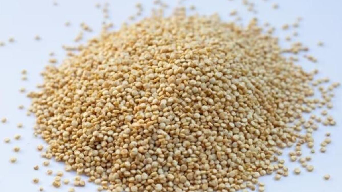 popcornul-din-quinoa--neasteptat-de-delicios-este-gata-in-10-minute_20359800