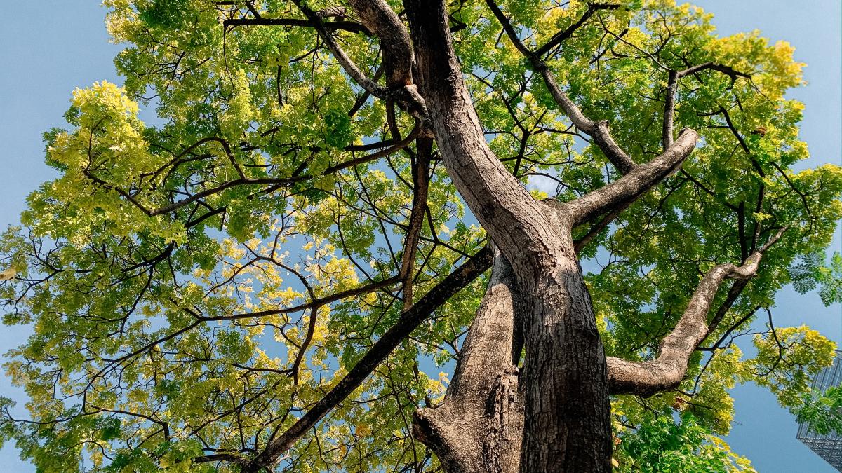 pexels-stacey-koenitz-r-4147343_42349800