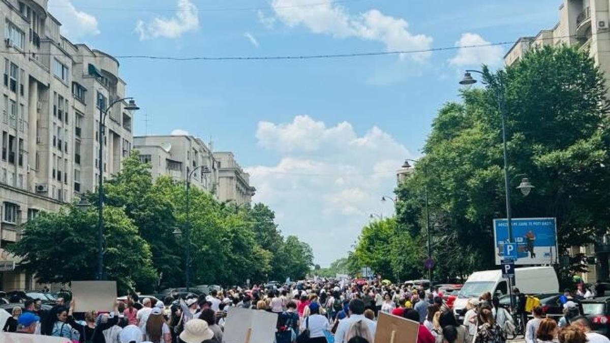 guvern-greva-profesori_62194600