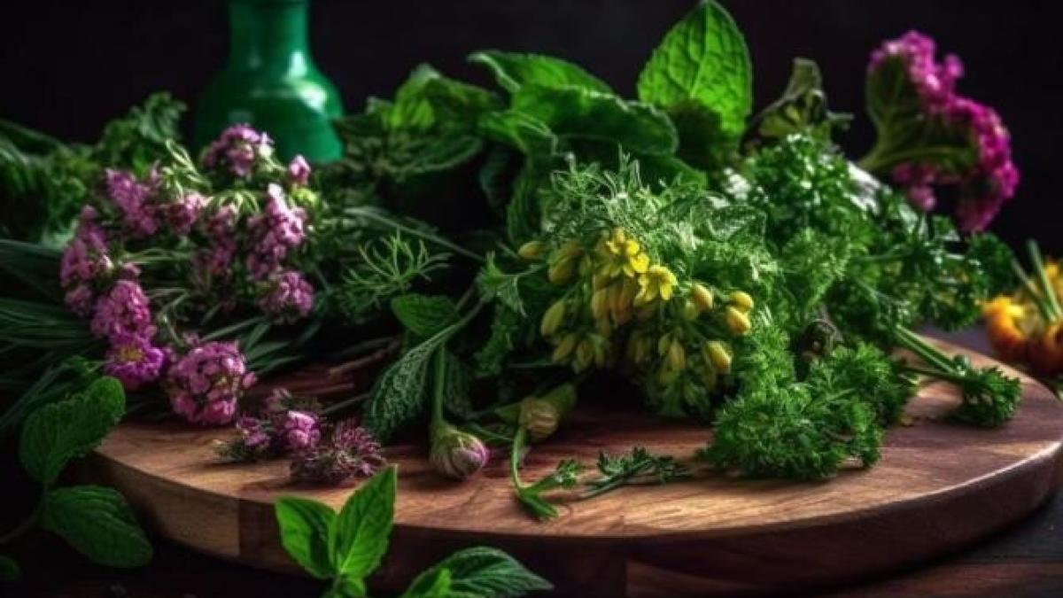 sase-ierburi-aromatice-din-bucataria-mexicana--mancarea-va-fi-mai-aromata--picanta-si-delicioasa_39114500