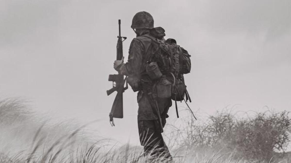 mesajul-lui-white-rex_24754000