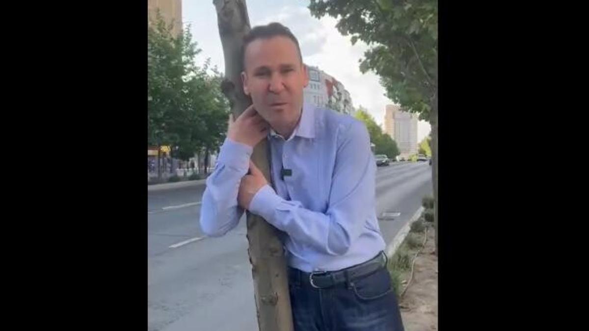 negoita-copac_07737400