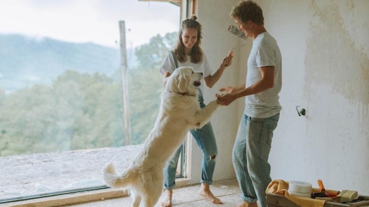 cuplu-casa-pexels_19585700