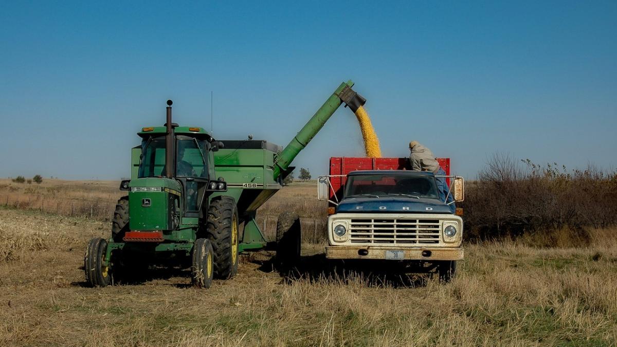 ucraina-cereale-ucrainene_95417200