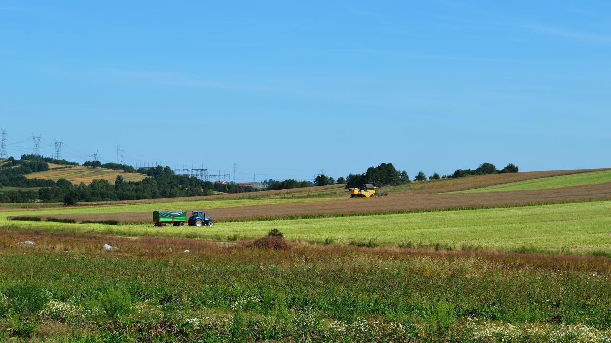 vin-banii-de-motorina--anunt-pentru-10-000-de-fermieri_68788300