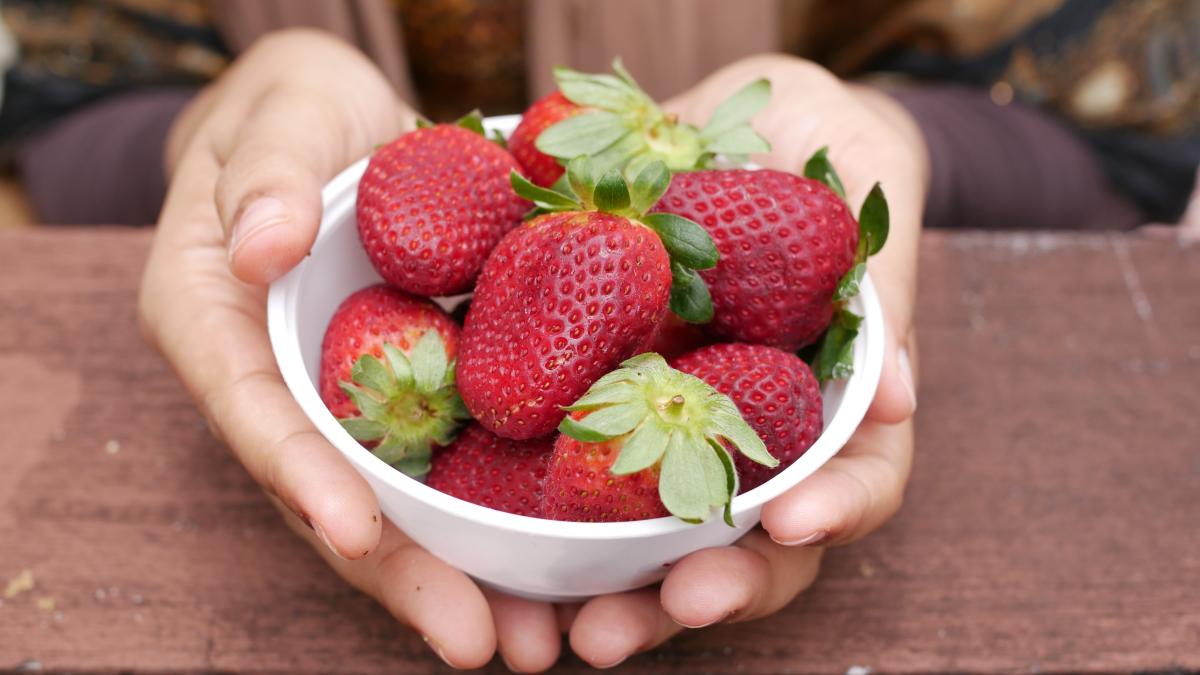 pret-capsuni-romanesti_30618500