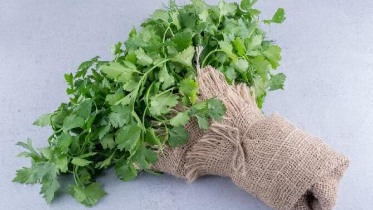 patrunjelul-proaspat-curata-si-pielea-si-o-scapa-de-toxine--cum-se-face-masca-care-face-minuni-pentru-ten_85760600