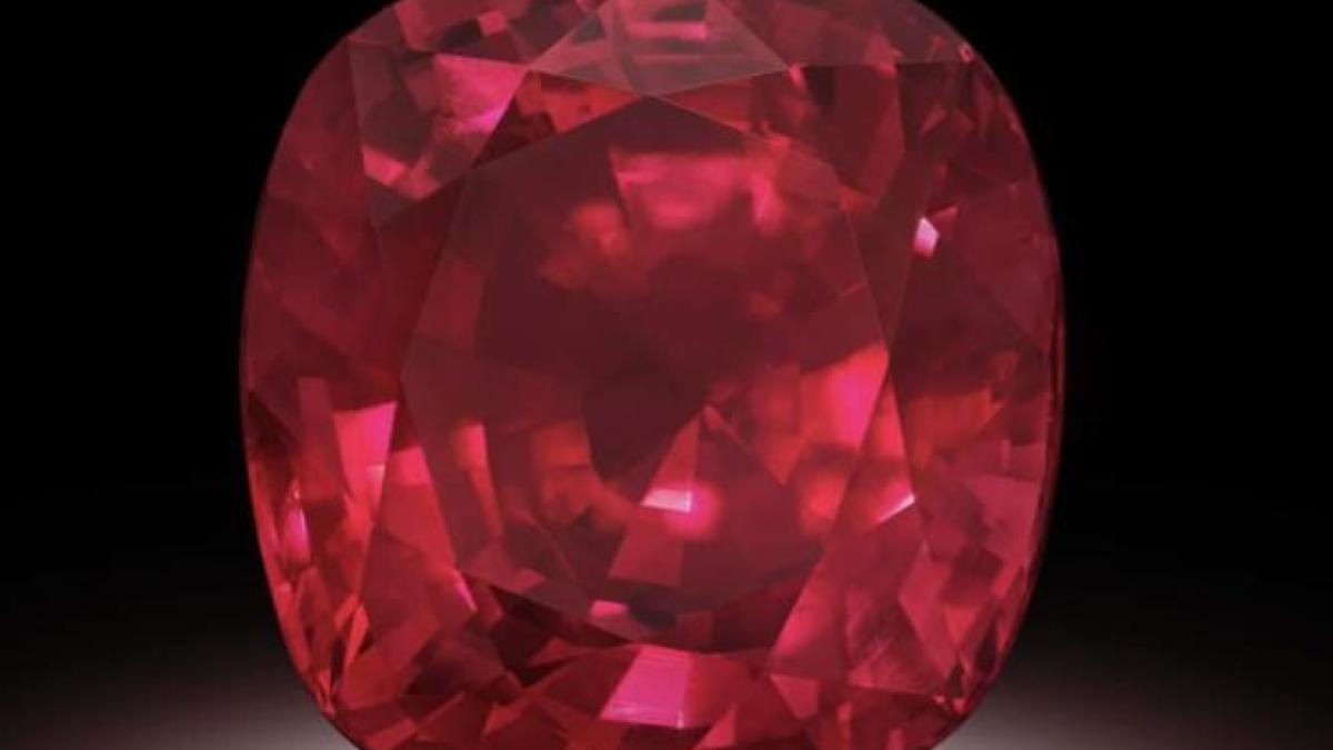 estrela-de-fura_70501700