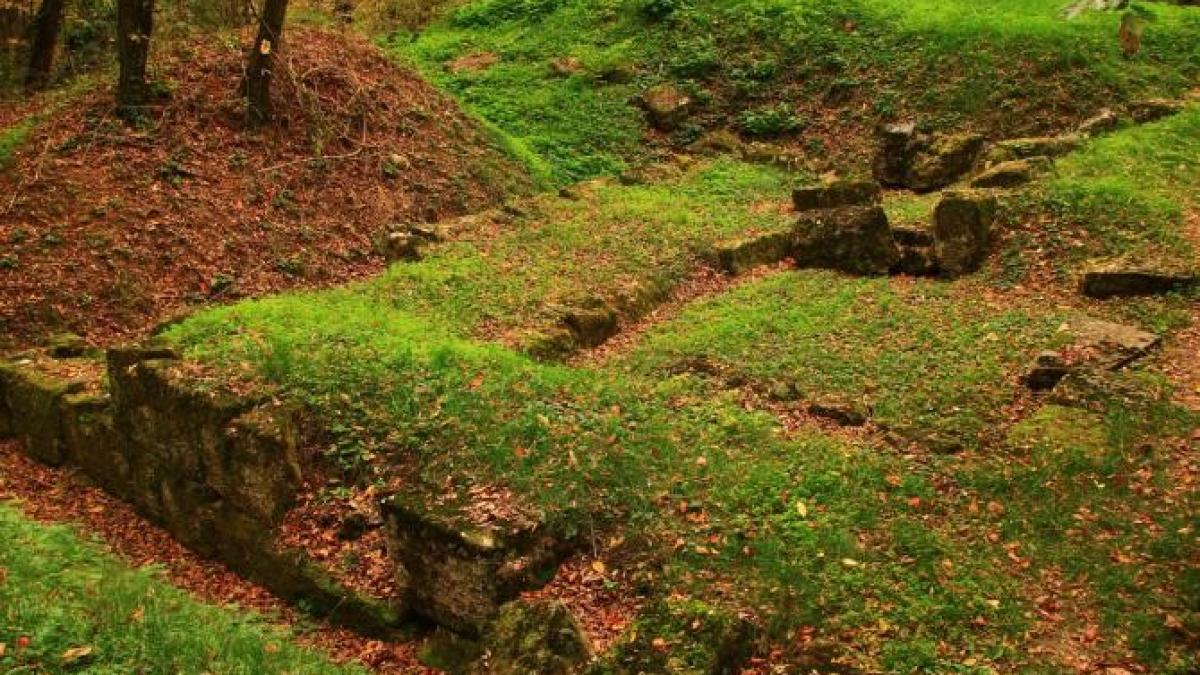 descoperire-sarmizegetusa_57145900