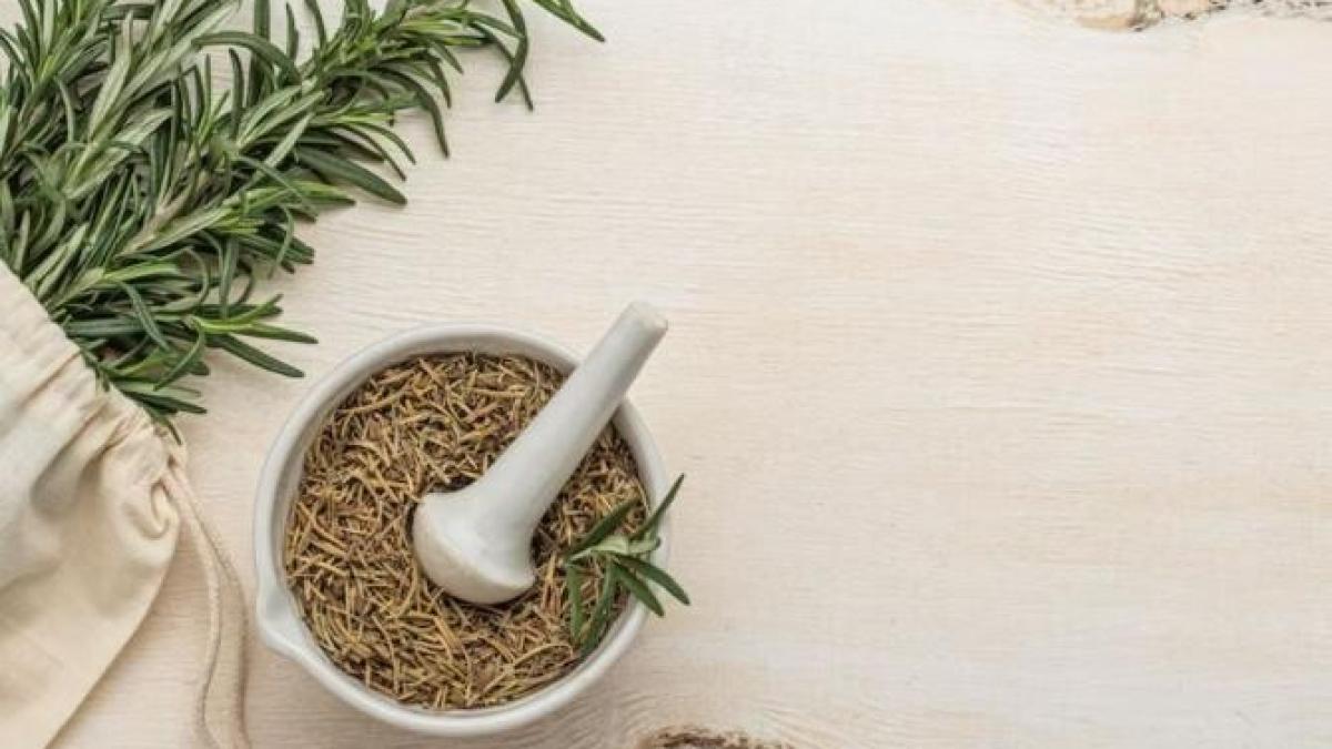 pastreaza-intotdeauna-o-crenguta-de-rozmarin-in-casa--iata-cinci-motive_54936700