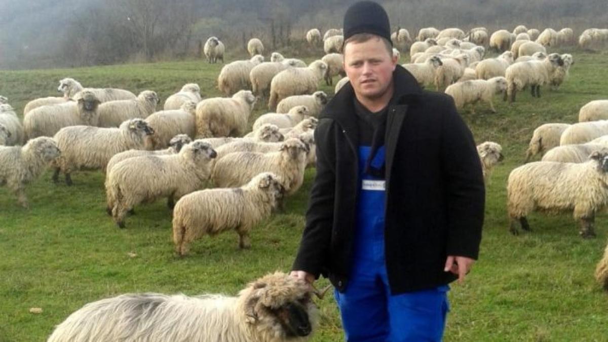 ghita-ciobanul_14069800