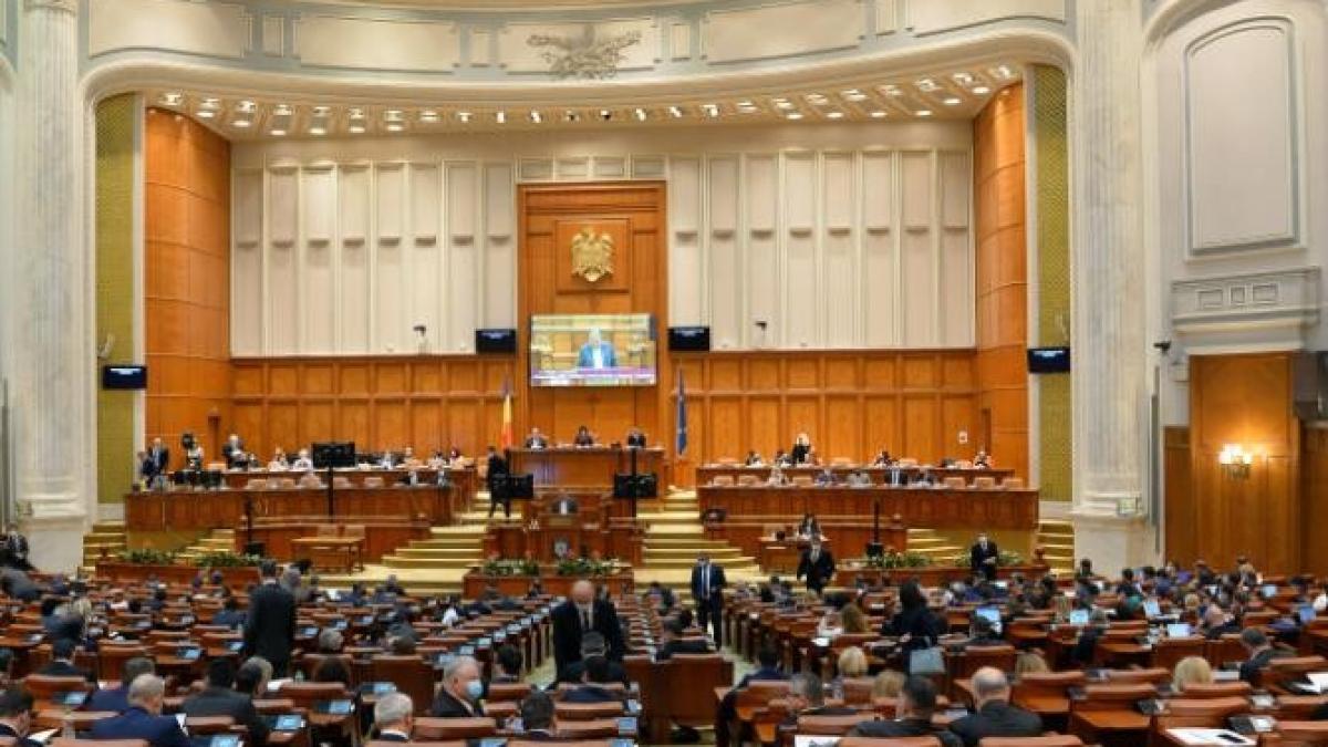 parlamentul-romaniei-statutul-politistilor_20267400