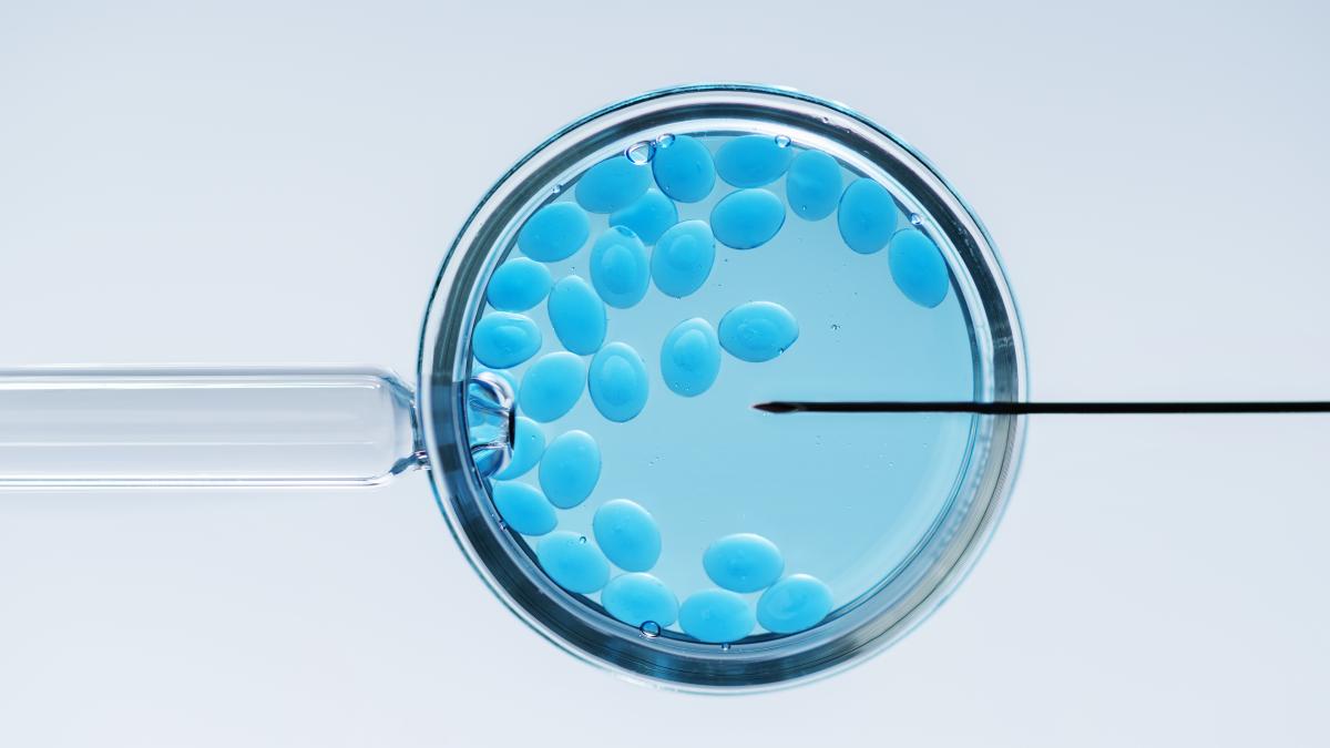 embrion-sintetic_06960800