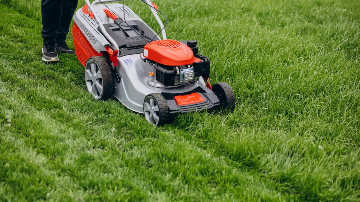 masina-de-tuns-iarba_53166200