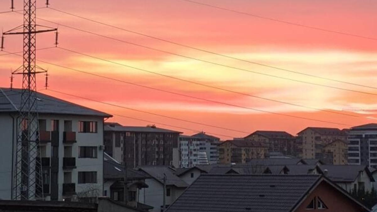 screenshot-2023-06-17-133027_63851800